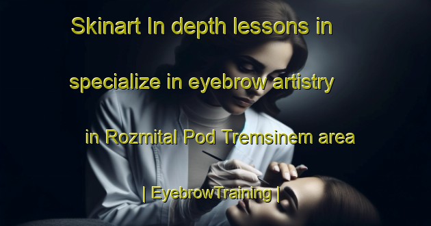 Skinart In-depth lessons in specialize in eyebrow artistry in Rozmital Pod Tremsinem area | EyebrowTraining | EyebrowClasses | SkinartTraining-Czech Republic